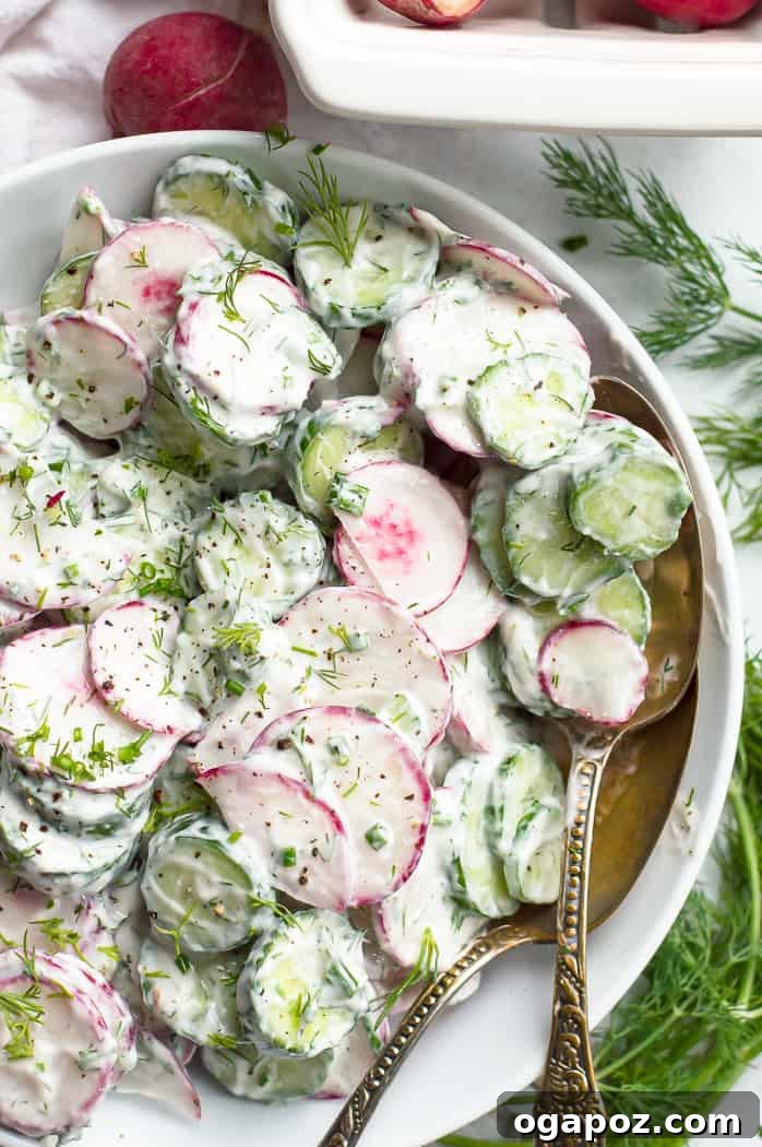 35+ Irresistible Side Dishes for Salmon 28 Cucumber and Radish Salad, coated in a creamy Greek yogurt dressing.