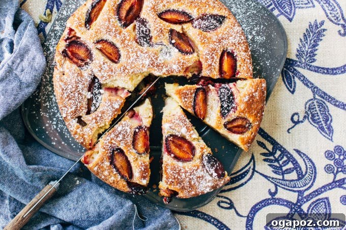 Fragrant Plum and Cardamom Cake 2 Delicious Cardamom-Plum Cake slice on a white plate, showcasing the juicy plum pieces and fluffy texture, against a rustic backdrop.
