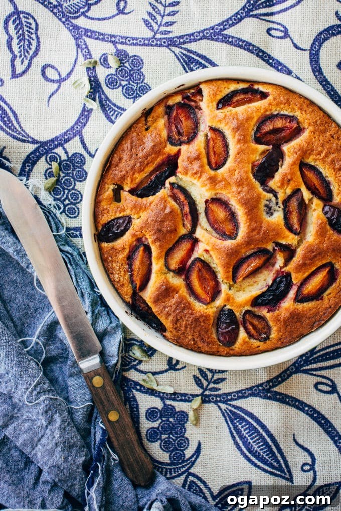Fragrant Plum and Cardamom Cake 6 Beautifully quartered Italian prune plums scattered on top of the cake batter, ready for baking, highlighting the visual appeal.