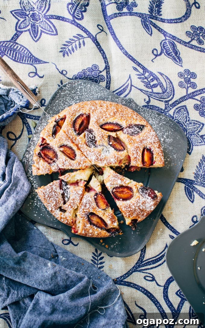 Fragrant Plum and Cardamom Cake 7 A beautifully baked Cardamom-Plum Cake, lightly dusted with confectioners' sugar, resting on a cooling rack, ready to be served.