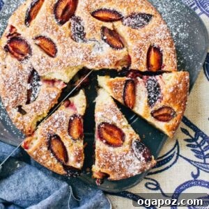 Fully baked Cardamom-Plum Cake, golden brown with plums on top.