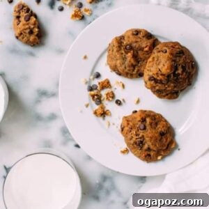 Moist Zucchini Chocolate Treasures 6 Plate of delightful zucchini chocolate chip cookies.