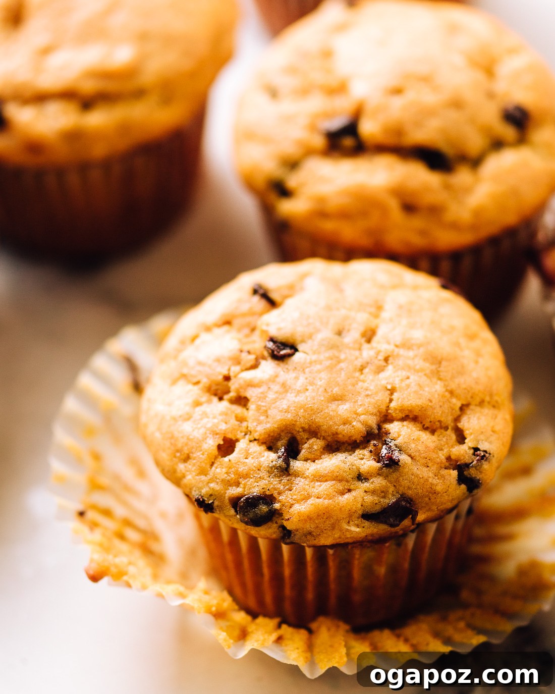Pillowy Soft Pumpkin Chocolate Chip Muffins 4 Close-up of a perfectly baked pumpkin chocolate chip muffin, revealing its moist crumb and abundant chocolate chips.