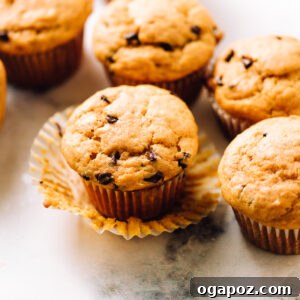 Pumpkin Chocolate Chip Muffins on a counter.