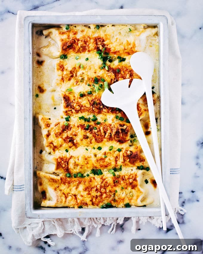 A 9x13 inch baking dish filled with perfectly rolled cheesy chicken enchiladas, generously covered in white sauce and topped with more grated cheese, ready to go into the oven.