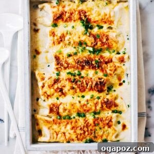 Cheesy Chicken Enchilada with White sauce served in a baking dish