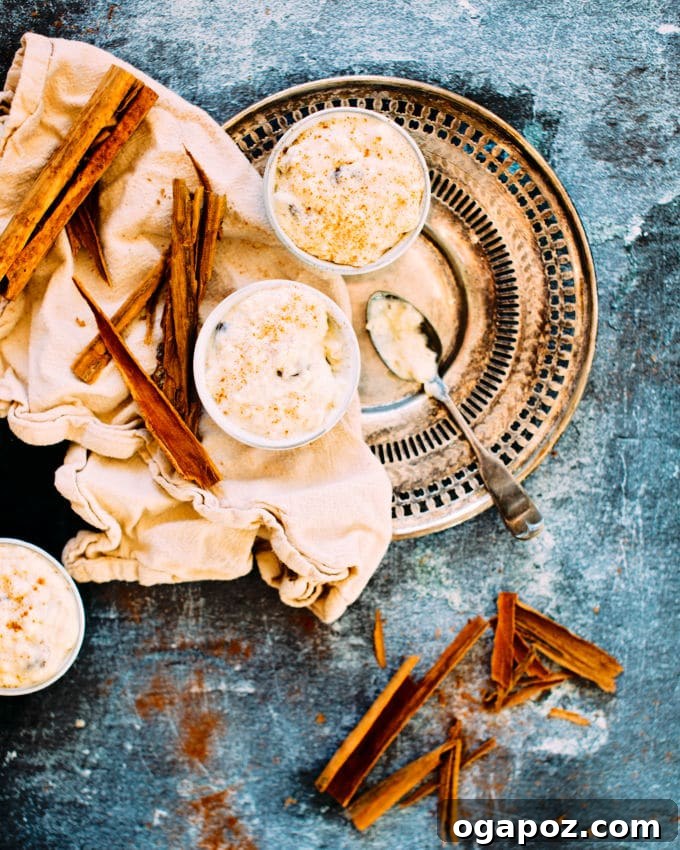 Creamy Cinnamon Raisin Rice Pudding 4 A serving of cinnamon raisin rice pudding in a white bowl, with a spoon resting on the side, ready to be enjoyed.