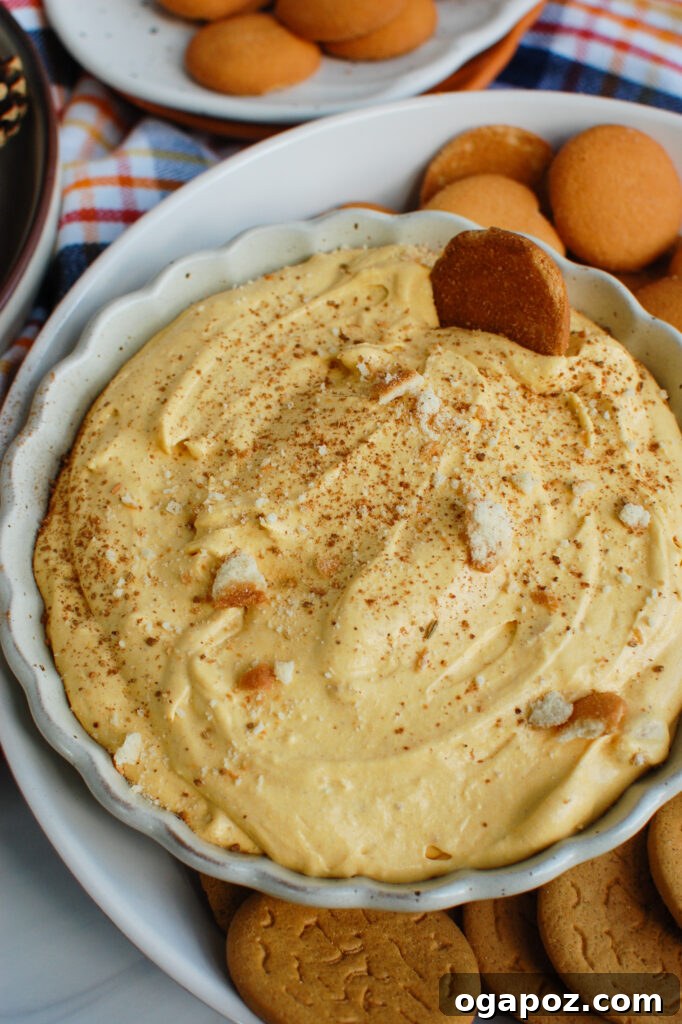 Luscious Pumpkin Spice Dip 2 Creamy Pumpkin Dip served in a rustic bowl, garnished with a sprinkle of cinnamon, perfect for fall entertaining