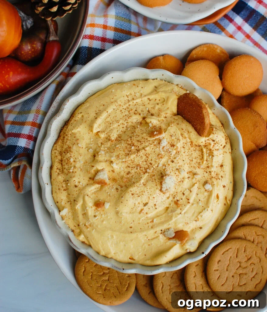 Luscious Pumpkin Spice Dip 4 Pumpkin Dip served with crispy graham crackers, a perfect fall dessert or snack for family and friends
