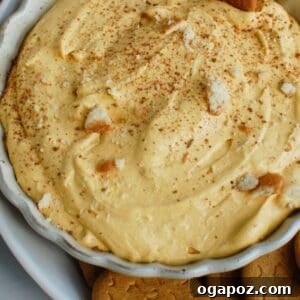 Luscious Pumpkin Spice Dip 5 Close-up of a bowl of Pumpkin Dip, ready to be served