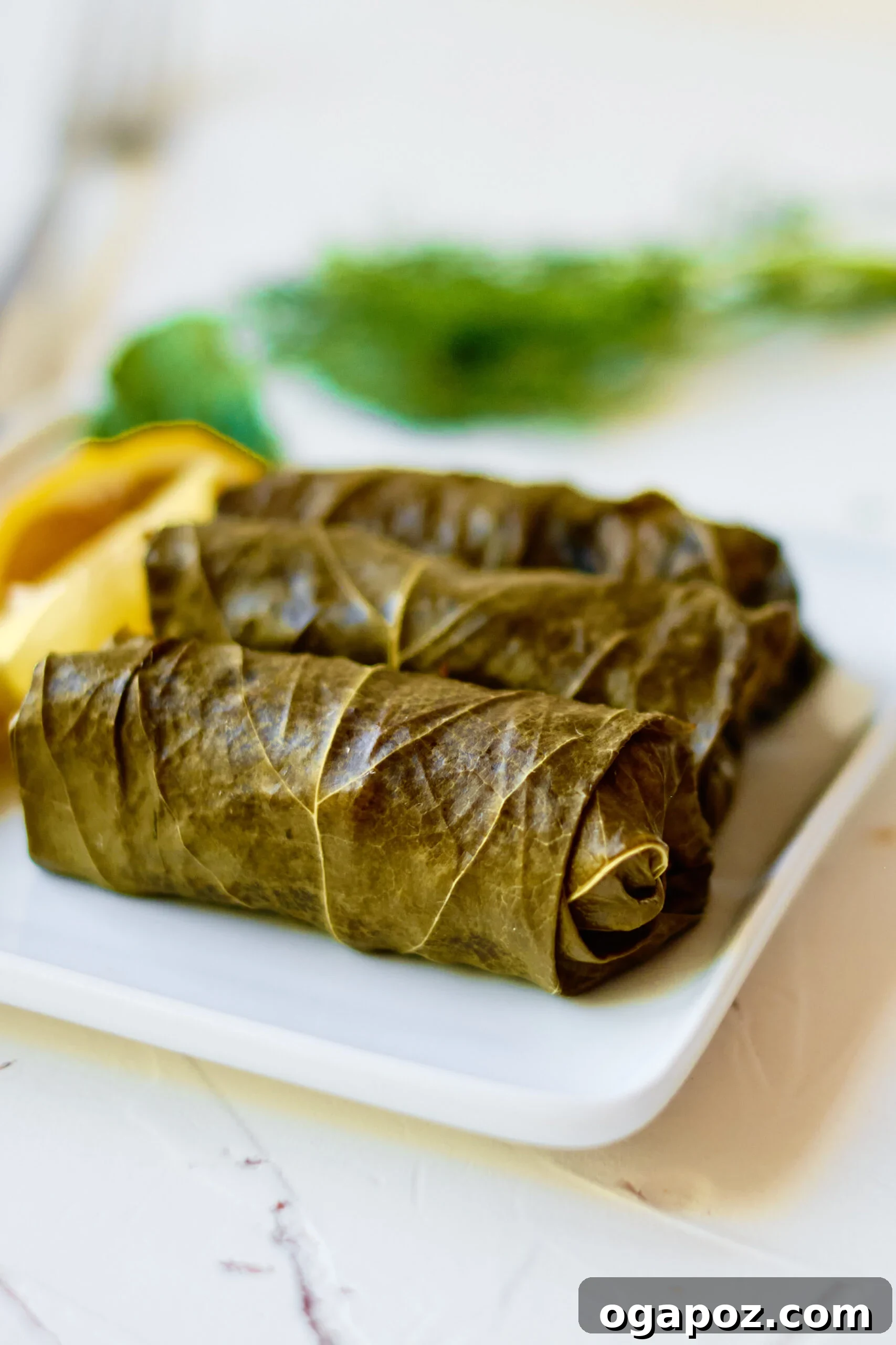 Effortless Dolmades 2 Freshly cooked Stuffed Grape Leaves arranged beautifully on a white plate, garnished with vibrant fresh mint and a sprinkle of spices.