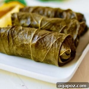 Delicious homemade stuffed grape leaves, presented beautifully as a recipe card thumbnail.