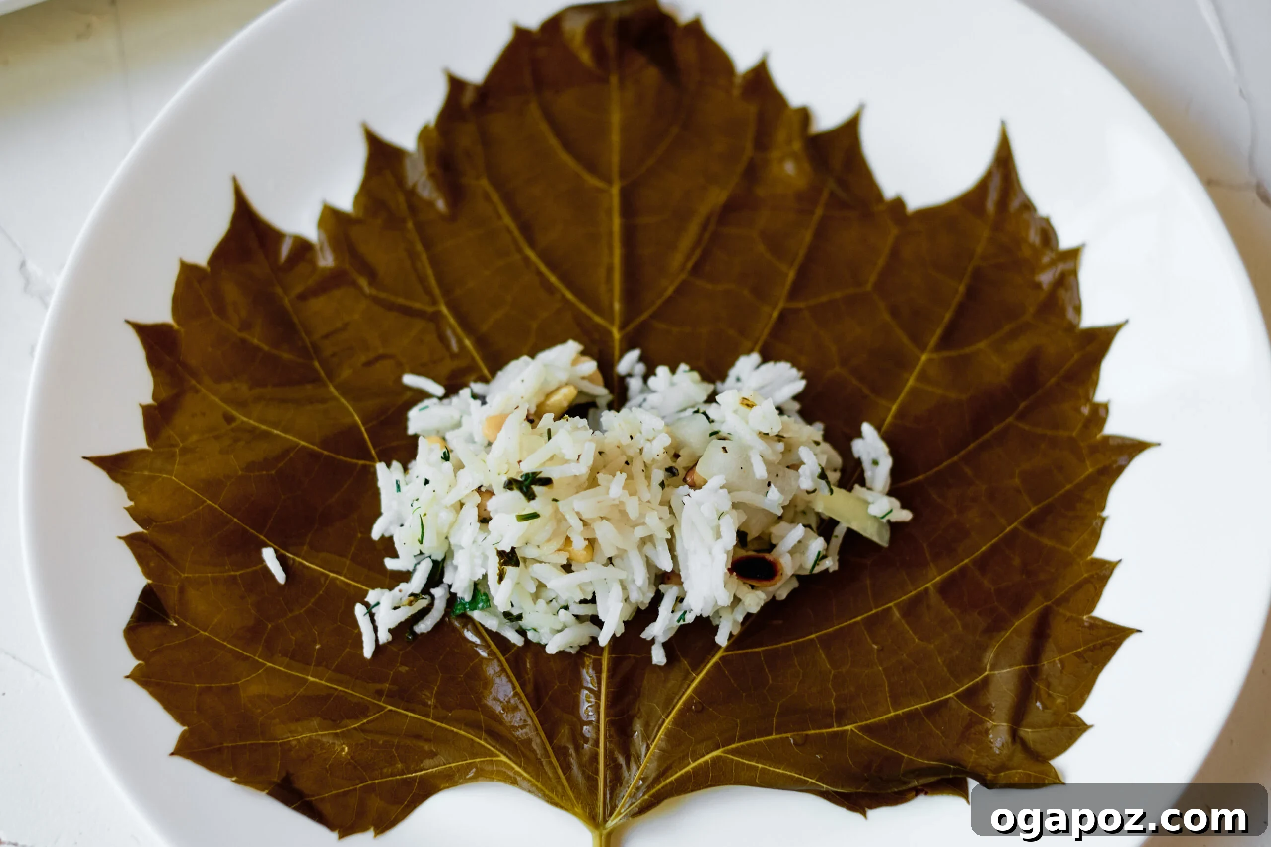 Effortless Dolmades 4 A close-up of a single grape leaf with a tablespoon of rice, pine nut, and fresh herb filling carefully placed in the center, ready for rolling.