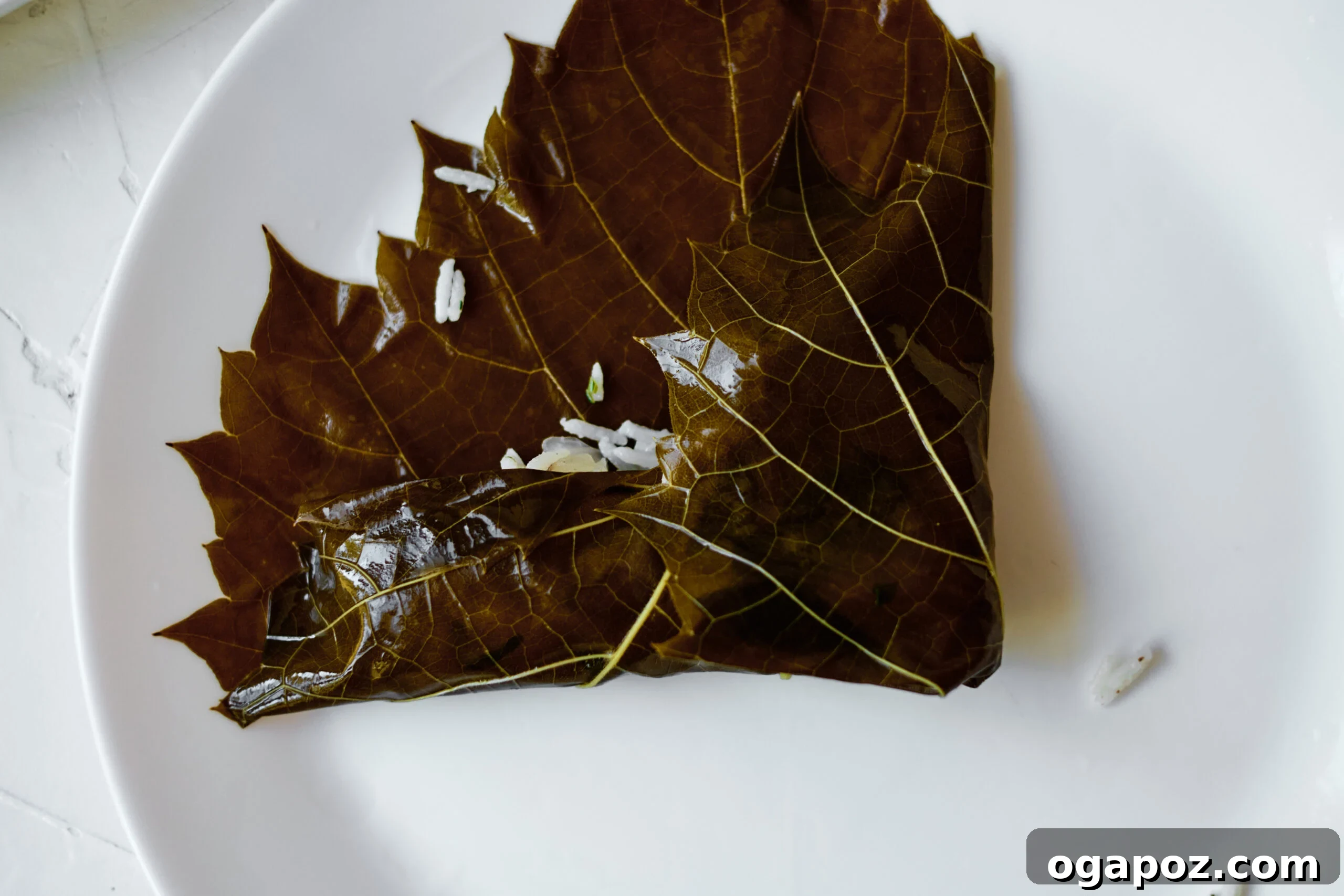 Effortless Dolmades 5 A grape leaf partially rolled, clearly showing the sides folded inward and the bottom section tucked neatly over the rice filling, illustrating the key steps of the rolling technique.