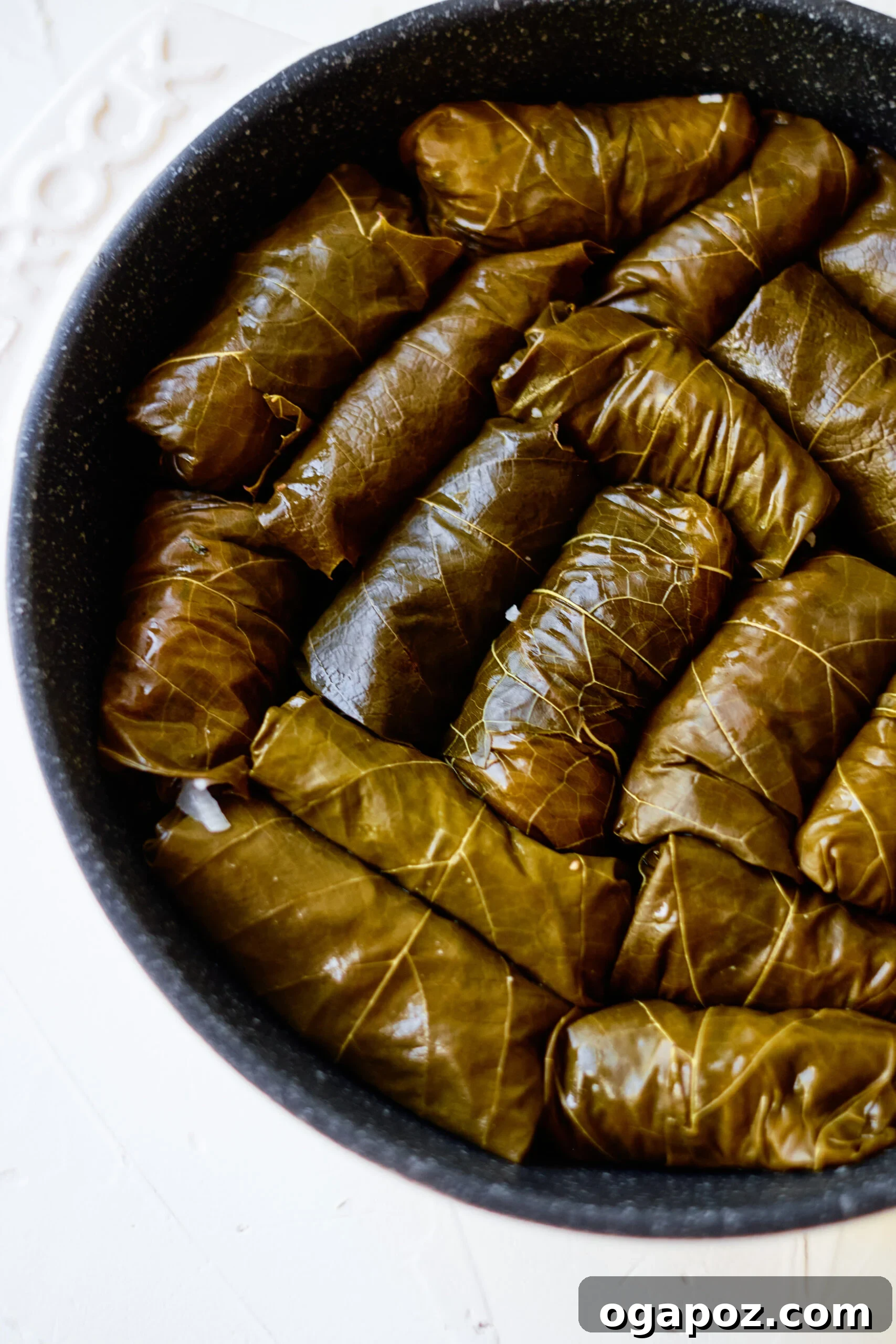 Effortless Dolmades 6 Tightly rolled stuffed grape leaves neatly arranged in concentric circles within a cooking pot, topped with a small inverted plate to keep them submerged during simmering.