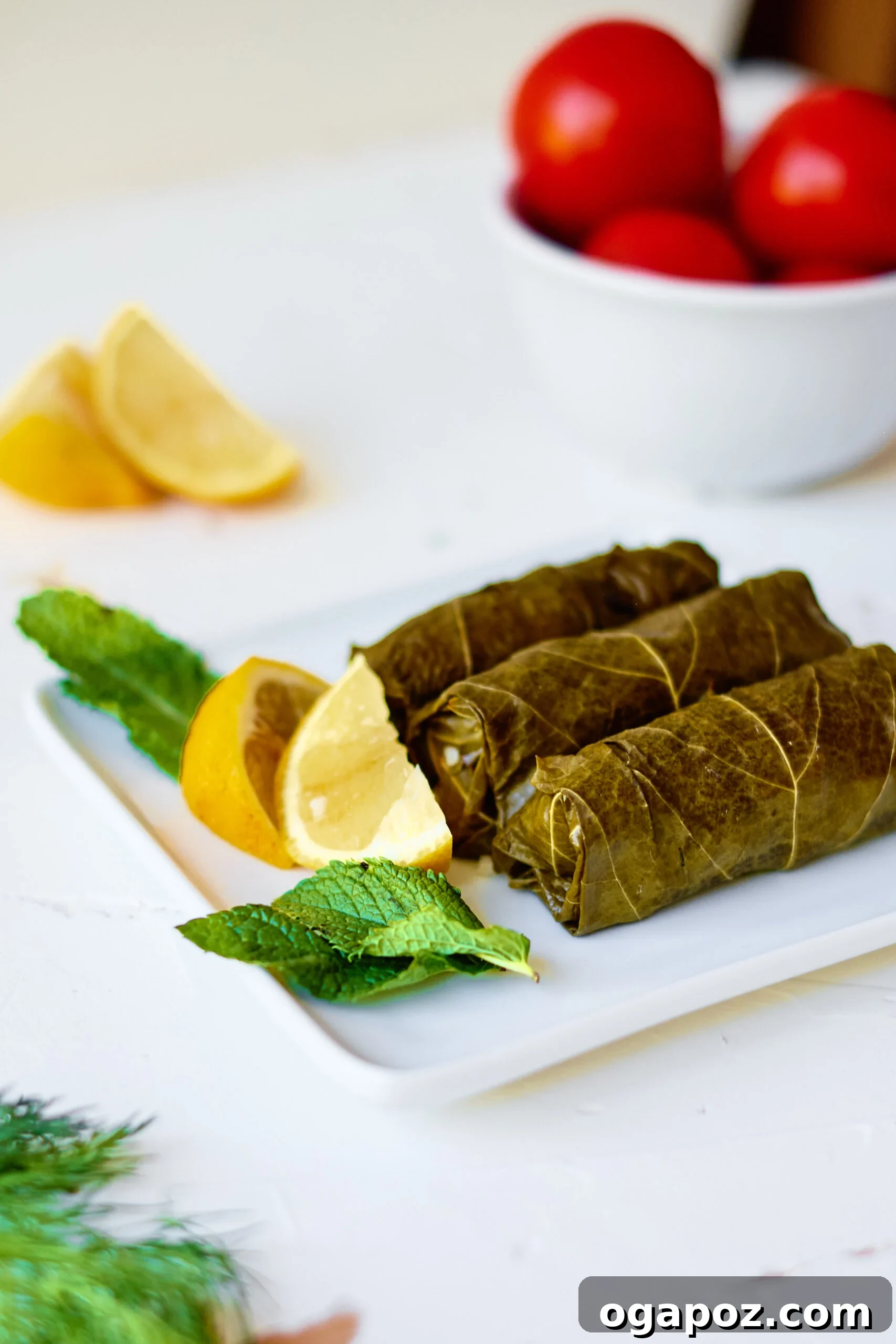 Effortless Dolmades 7 Close-up of freshly cooked stuffed grape leaves, elegantly garnished with vibrant fresh mint leaves, ready for serving.