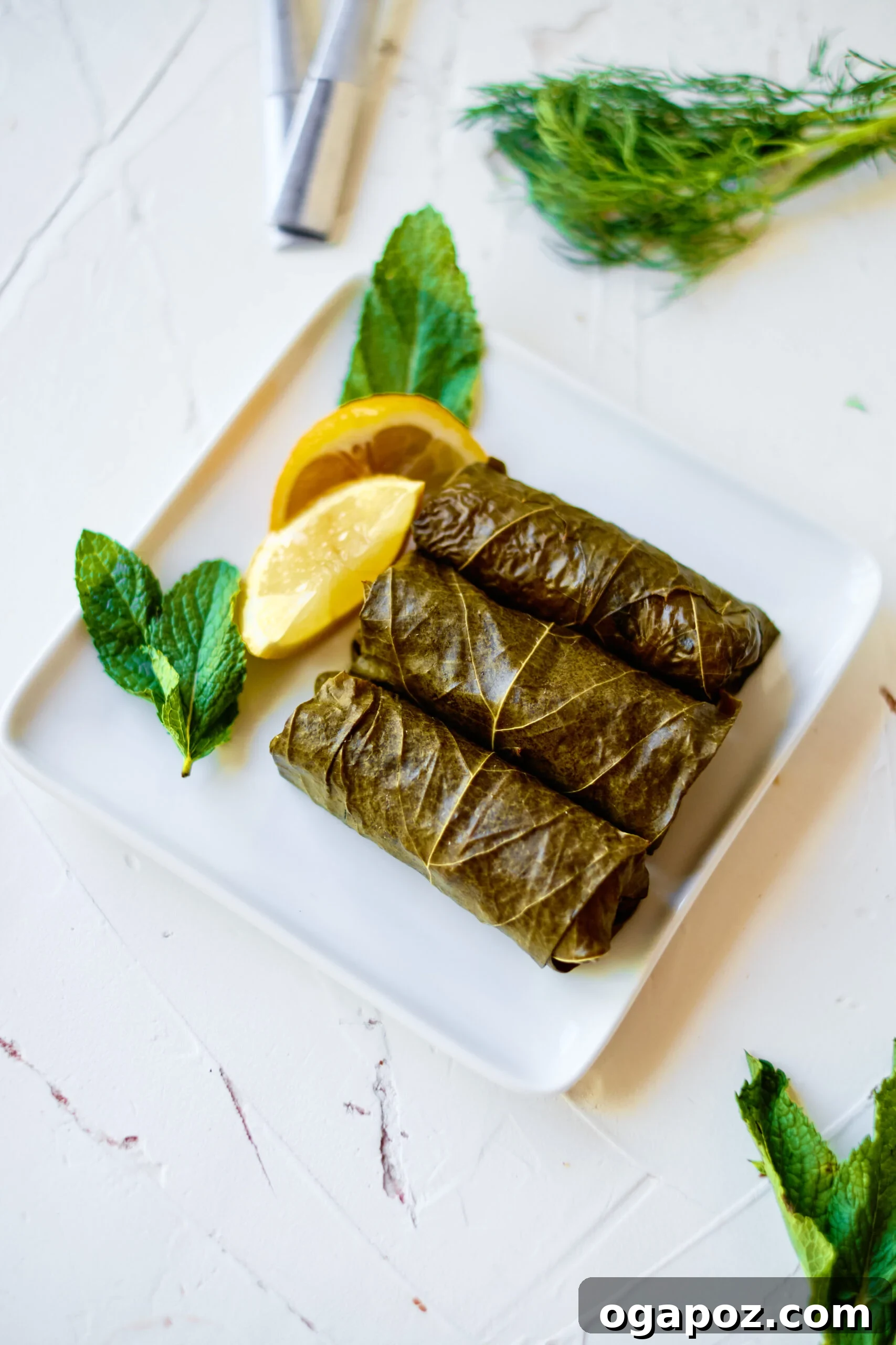 Effortless Dolmades 8 A vibrant platter of stuffed grape leaves, beautifully garnished with fresh lemon slices and mint sprigs, ready to be served.
