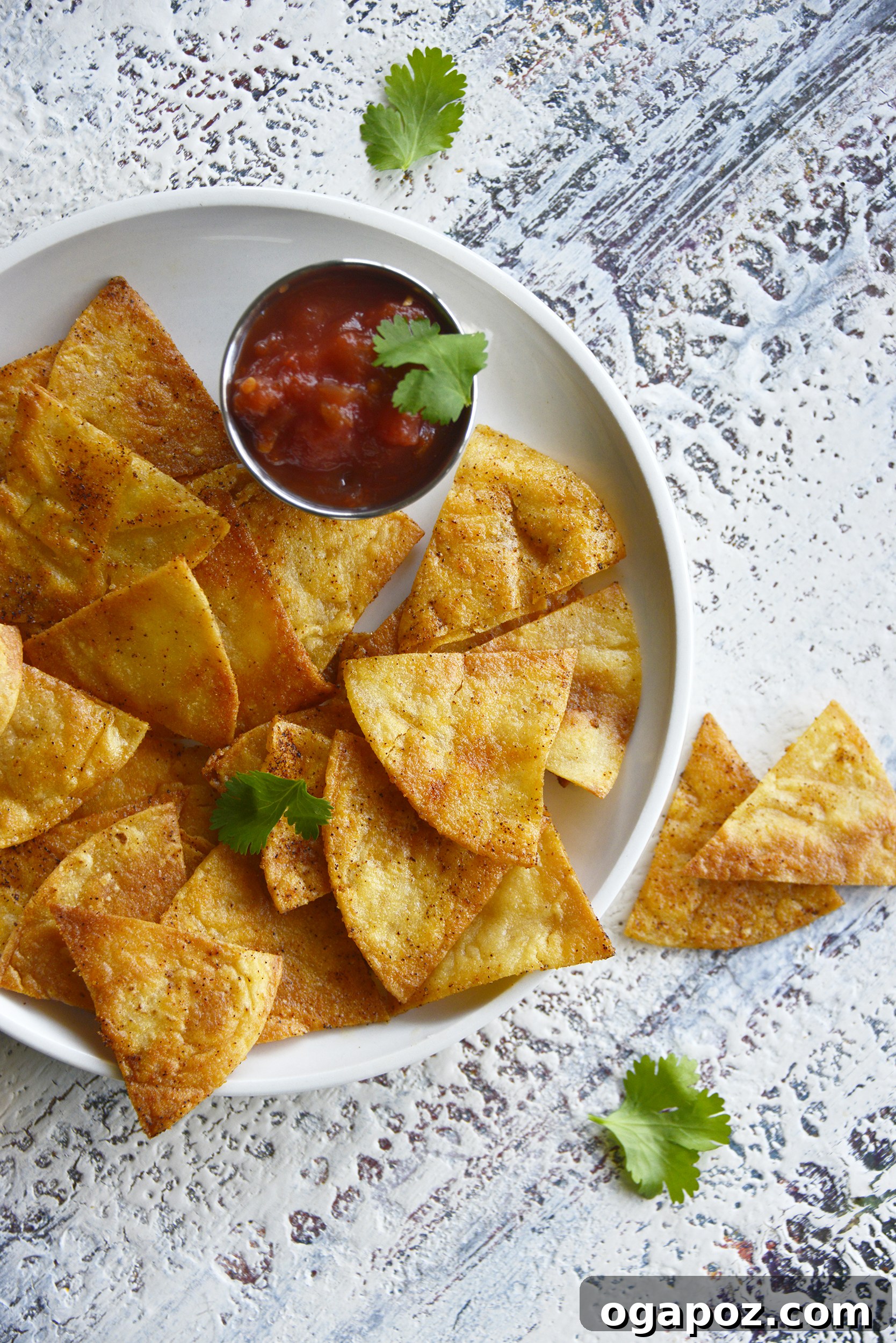 The Art of Homemade Tortilla Chips 2 Homemade Baked Tortilla Chips served with fresh salsa, highlighting their crispy texture.