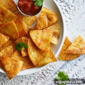 The Art of Homemade Tortilla Chips 8 homemade baked tortilla chips, crispy and golden