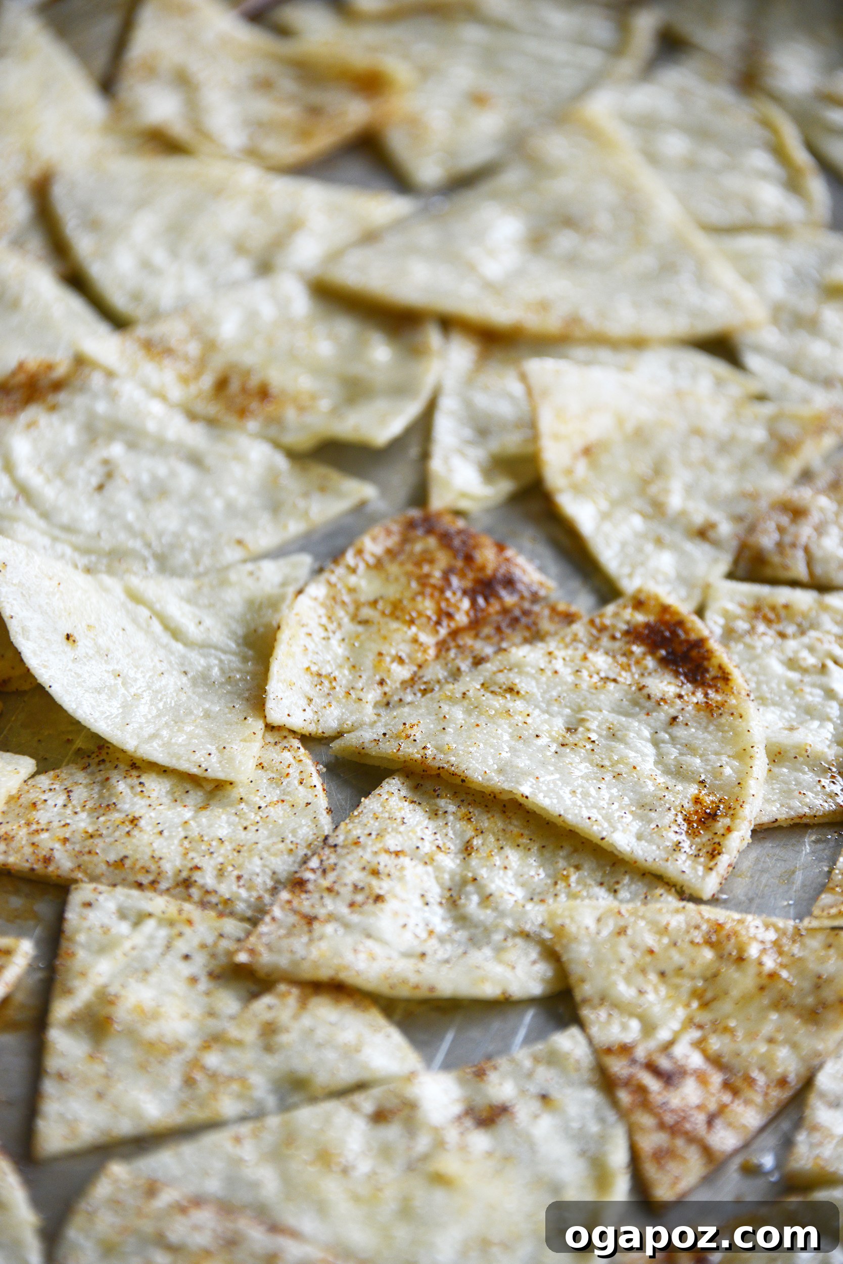 The Art of Homemade Tortilla Chips 6 Seasoned tortilla wedges spread in a single layer on a baking sheet, ready for the oven.