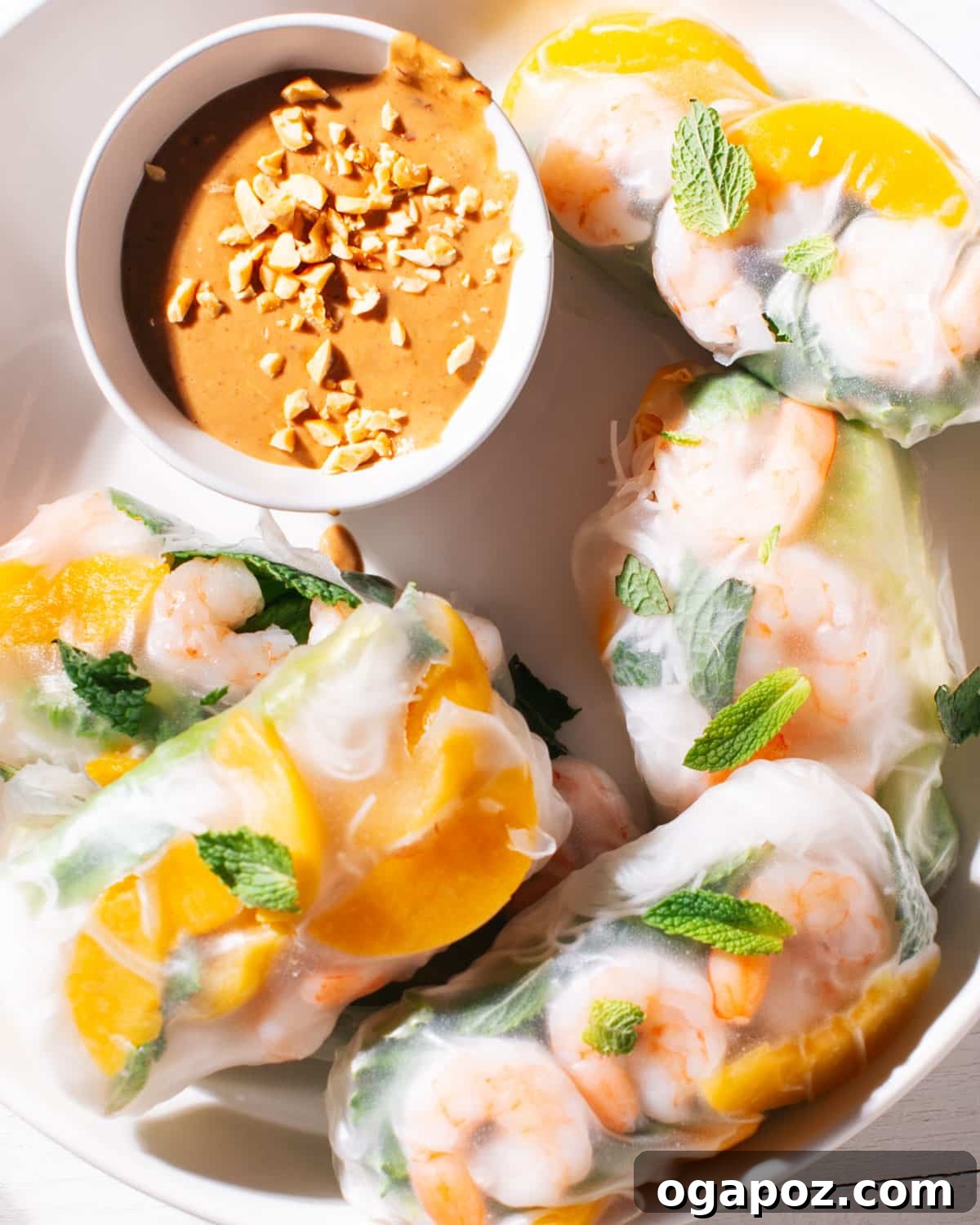 Spring rolls on a plate with peanut sauce.