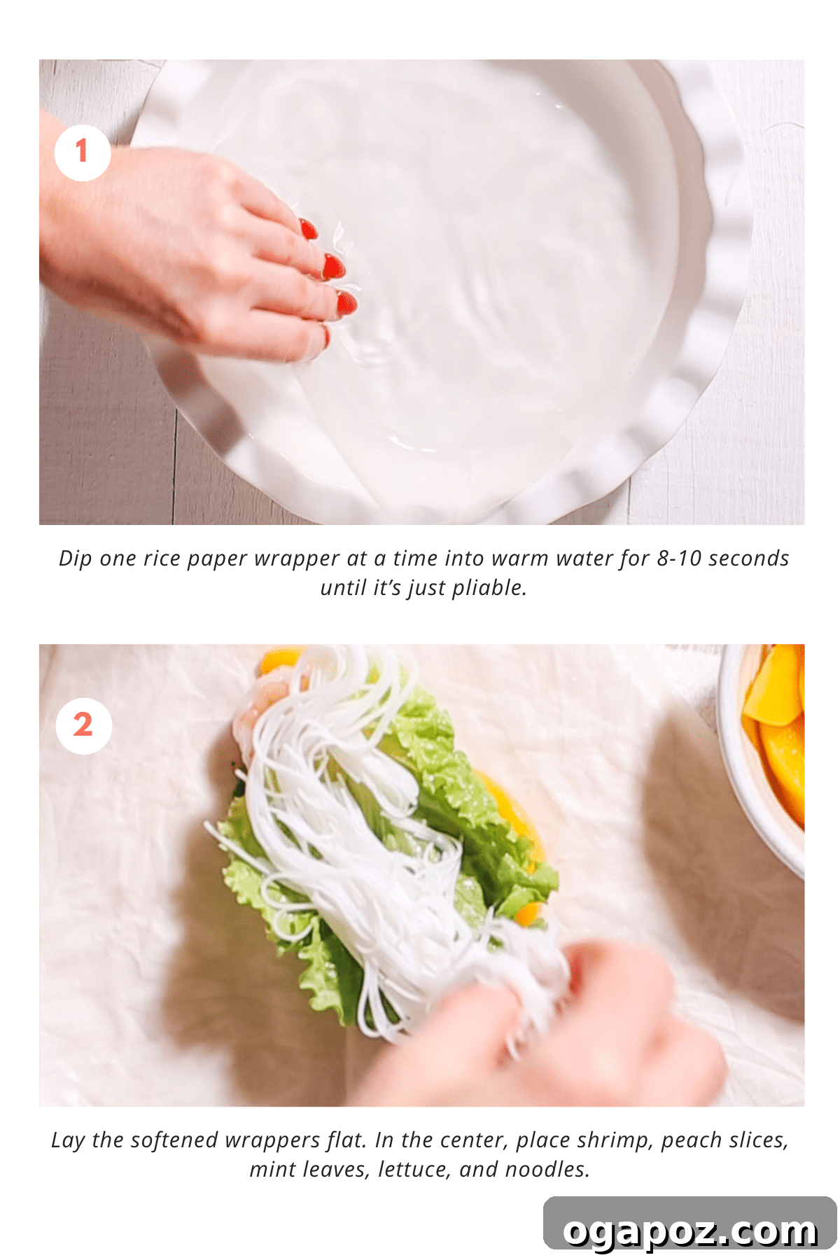 Spring Rolls steps