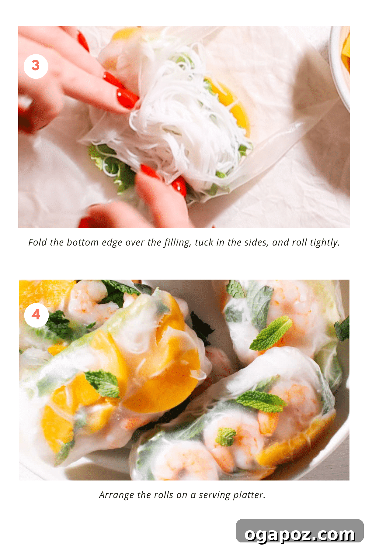 Spring Rolls steps 2