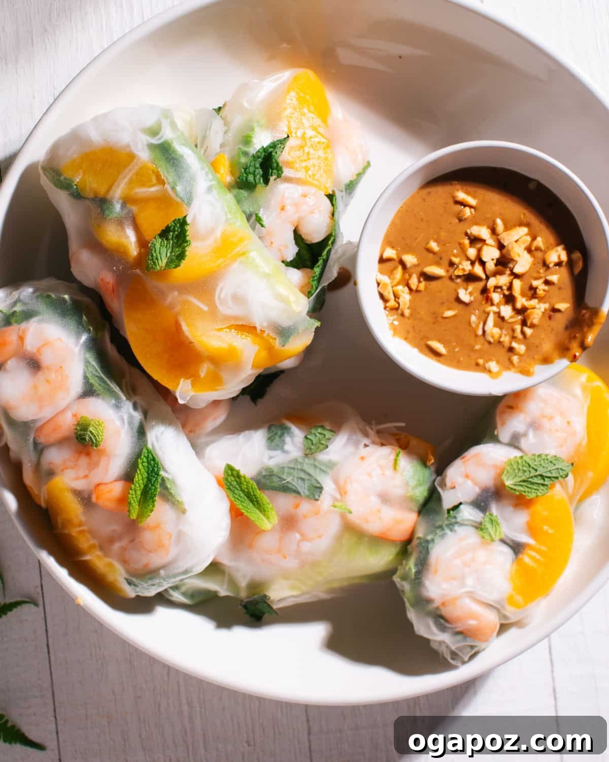 Spring Rolls with peanut sauce