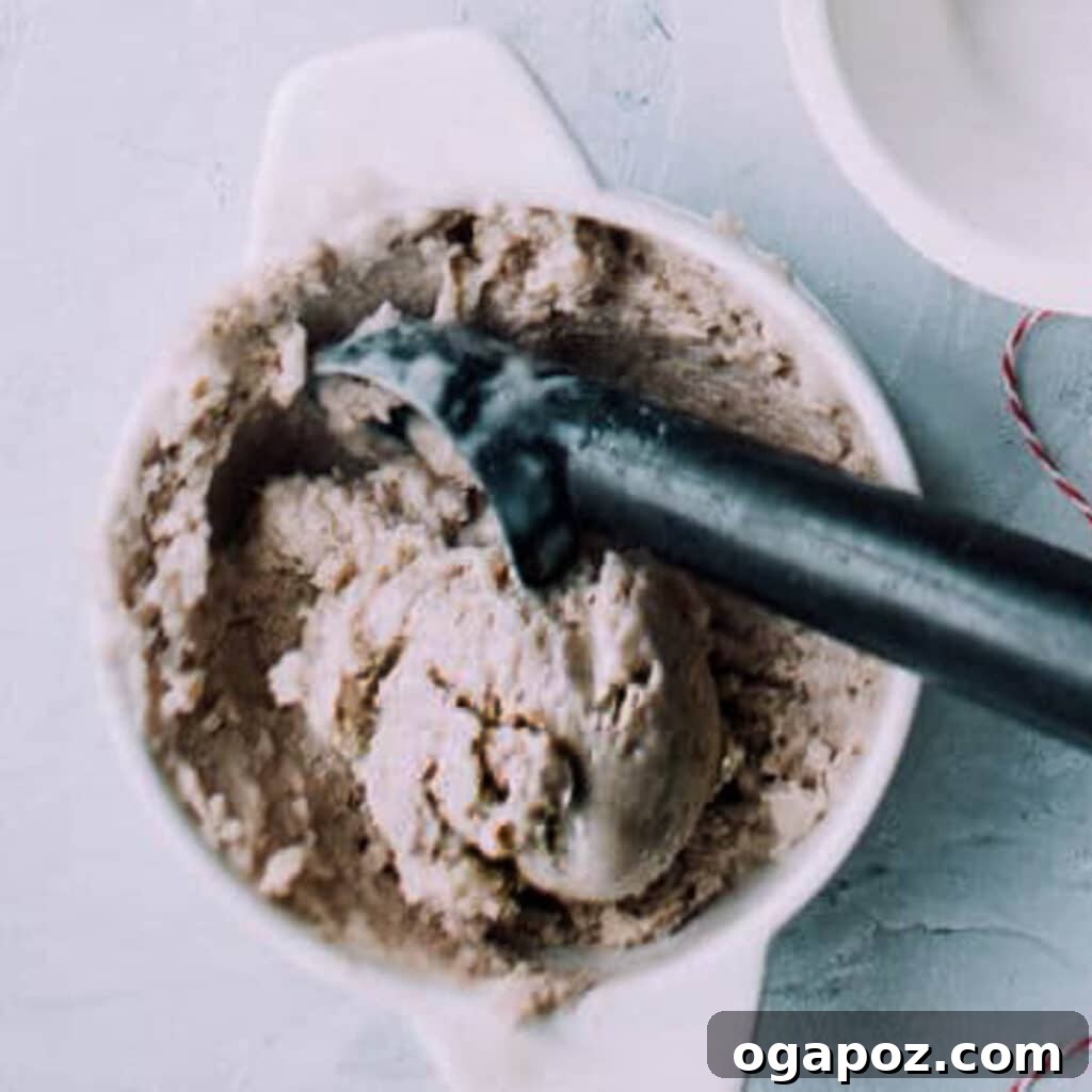 Simple 3-Ingredient Banana Nice Cream 5 A close-up of creamy banana ice cream in a bowl, showing its smooth texture, ready to be customized with toppings.