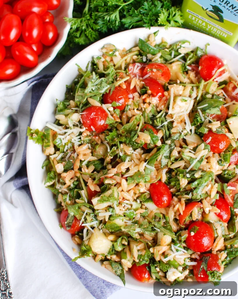 Vibrant Tomato Feta Orzo Salad 2 Vibrant Tomato Feta Orzo Salad in a large serving bowl, garnished with fresh herbs, ready to be enjoyed.