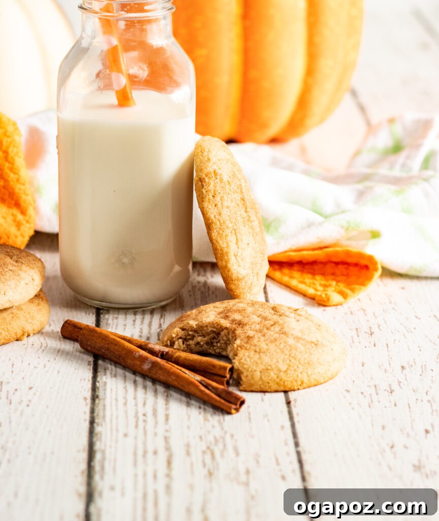Harvest Spice Snickerdoodles 2 Pumpkin Snickerdoodles served with a glass of milk, highlighting their soft texture and cinnamon-sugar coating