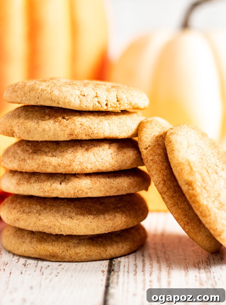Harvest Spice Snickerdoodles 3 A stack of freshly baked Pumpkin Snickerdoodles, showcasing their appealing golden-brown edges and cinnamon sugar topping