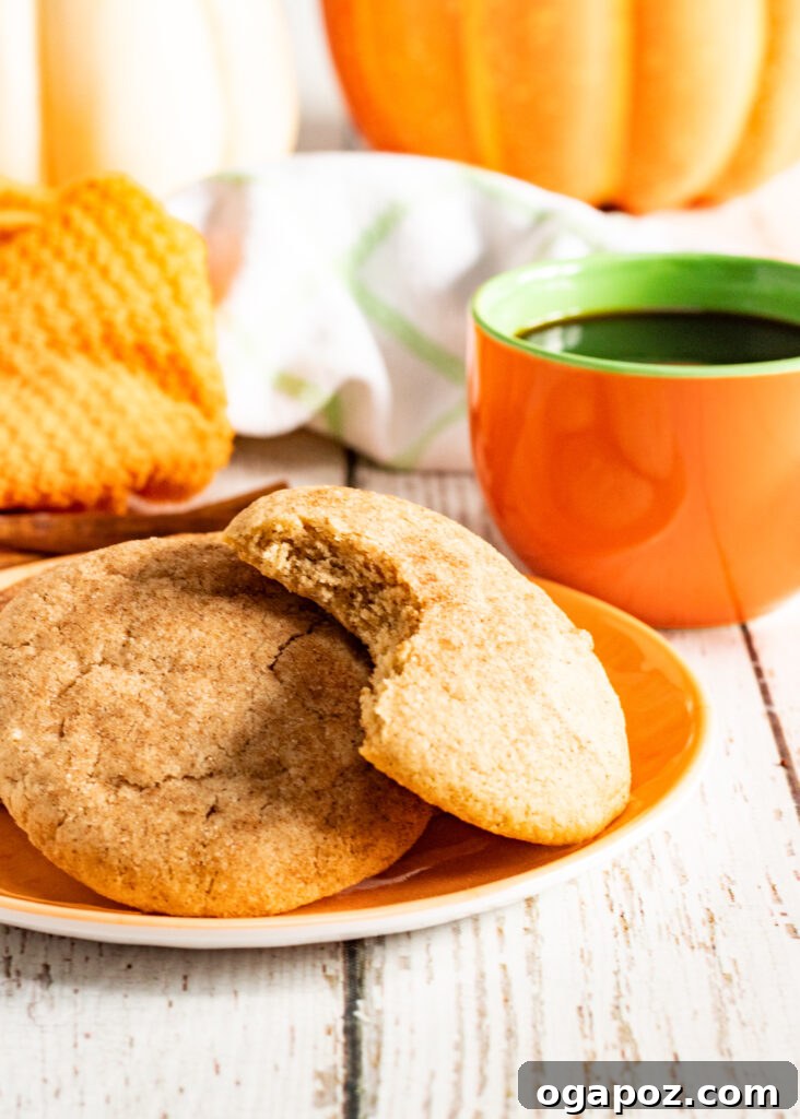 Harvest Spice Snickerdoodles 5 Pumpkin Snickerdoodles arranged on an orange decorative plate, ready to be served