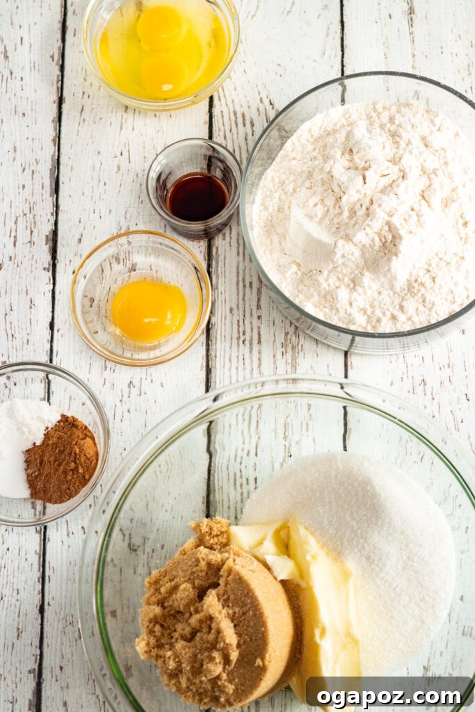 Harvest Spice Snickerdoodles 6 Individual ingredients for Pumpkin Snickerdoodles laid out on a surface, including flour, sugars, butter, and spices