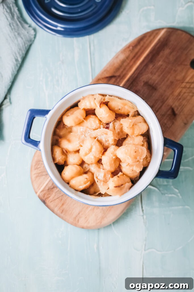 Hearty One Pot French Onion Gnocchi 4 One Pot French Onion Gnocchi above shot