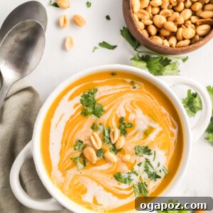 Instant Pot Butternut Squash Soup