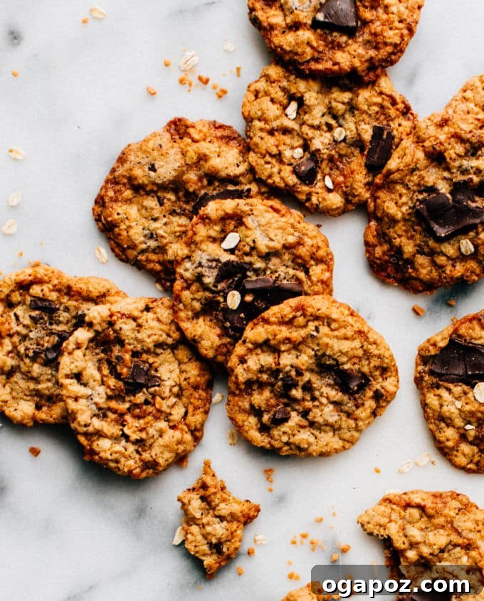 Ultimate Toffee Oatmeal Chocolate Chunk Cookies 2 Delicious Toffee Oatmeal Chocolate Chunk Cookies fresh from the oven, showcasing their golden edges and rich ingredients.