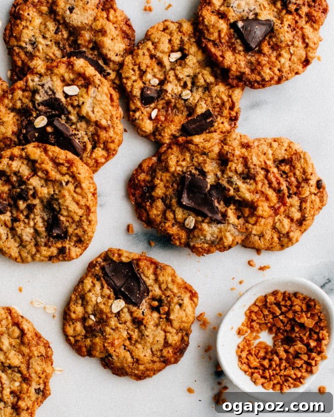 Ultimate Toffee Oatmeal Chocolate Chunk Cookies 4 A plate of freshly baked Toffee Oatmeal Chocolate Chunk Cookies, ready to be enjoyed.