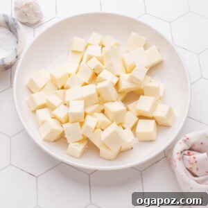 Homemade Paneer Cubes in plate.