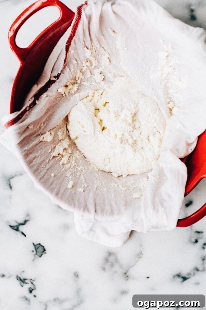 Crafting Perfect Paneer A Home Kitchen Guide 7 Milk curds being strained in cheesecloth, illustrating the separation of solids from whey.