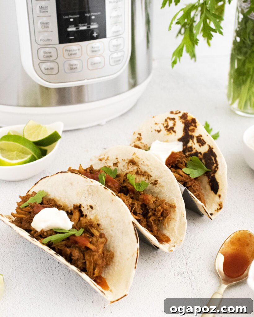 Tender and Crispy Instant Pot Carnitas 4 Instant Pot Carnitas ingredients arranged next to an Instant Pot pressure cooker, ready for cooking.