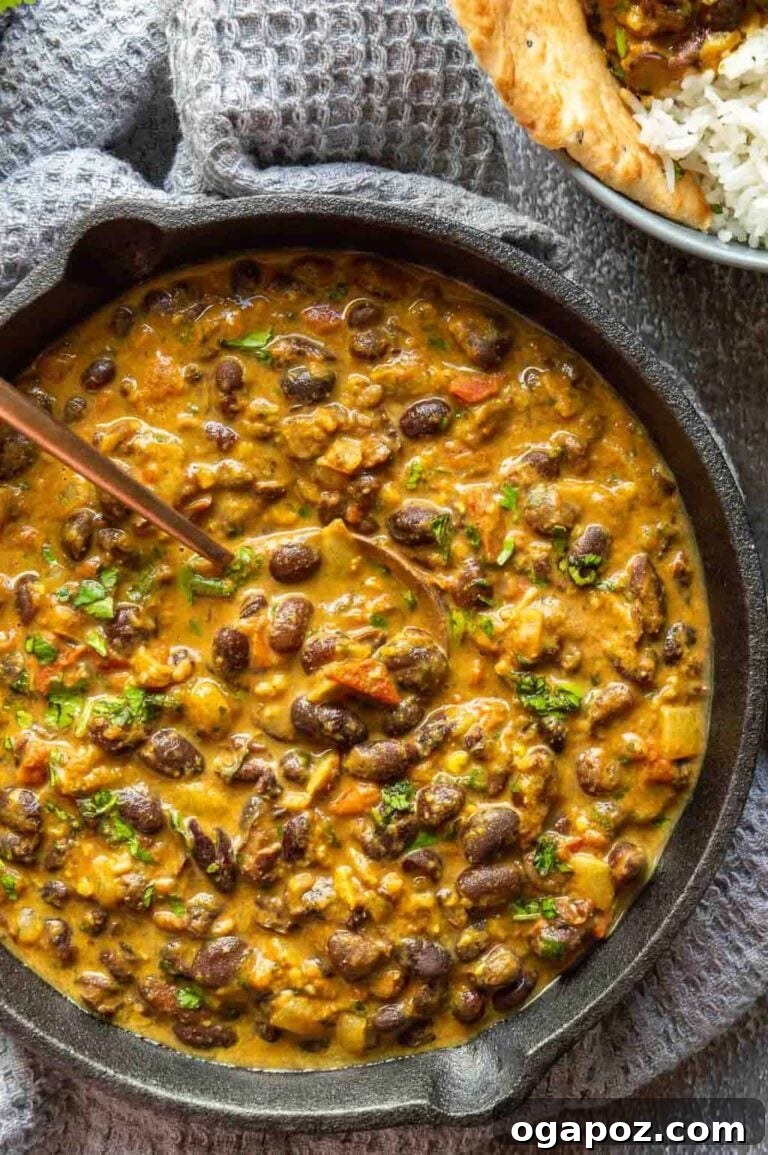 Flavorful Indian Vegetarian Dinner Ideas 17 A comforting bowl of Black Bean Curry, showcasing its rich, dark texture and savory appeal, garnished with fresh cilantro.