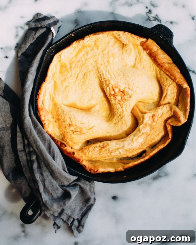 Puffed Rhubarb Pancake 3 Bir Dutch Baby pancake yapımında kullanılan malzemeler: yumurtalar, süt, un, vanilya özütü, şeker ve tereyağı bir araya getirilmeye hazır durumda.