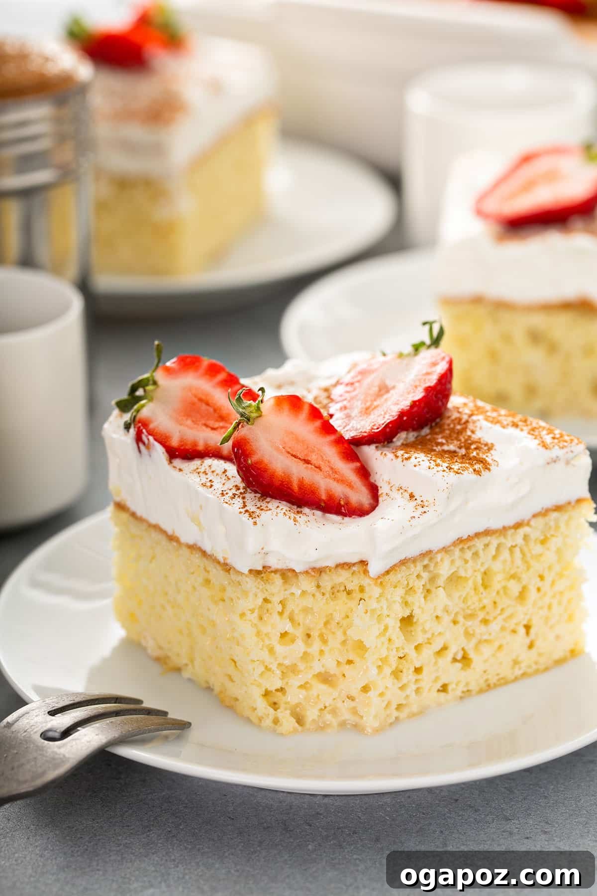Sweet Mexico: 25+ Dessert Recipes To Indulge In 3 Luscious Tres Leches Cake topped with whipped cream and fresh strawberries