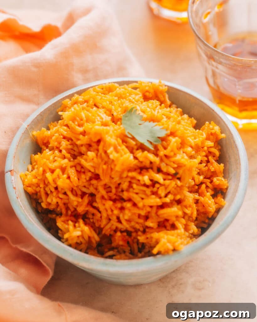 Elevate Your Wing Meal Side Dish Ideas 7 Vibrant Instant Pot Mexican Rice, a perfect side dish.