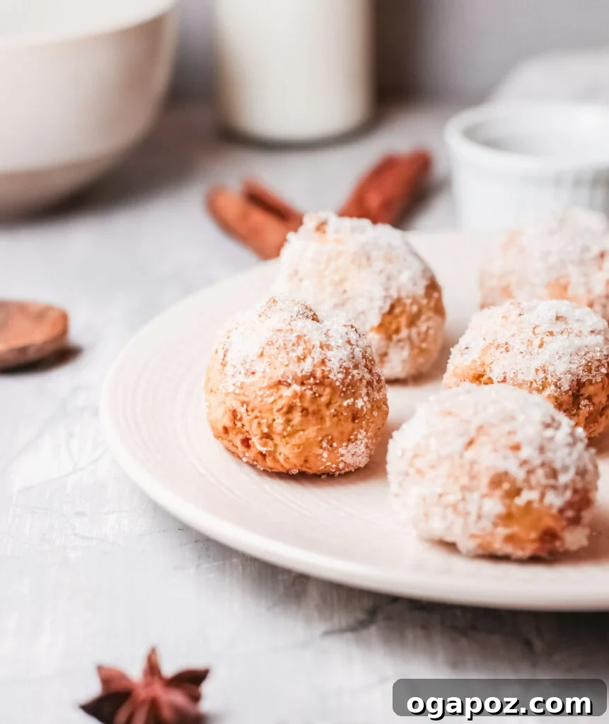 Easy Air Fryer Donut Bites 2 Golden brown Air Fryer Pumpkin Donut Holes, generously dusted with cinnamon sugar, artfully arranged on a pristine white plate, invitingly ready to be savored.