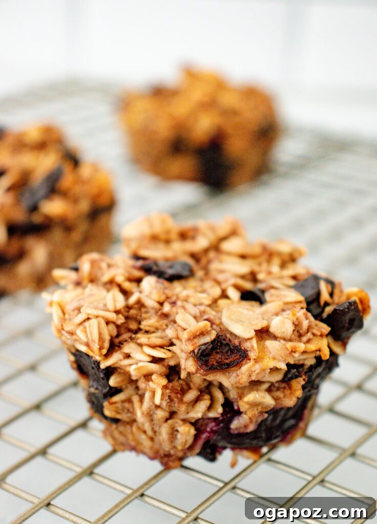 Golden Banana Oat Goodness 2 Freshly baked Banana Oatmeal Muffins cooling on a wire rack, highlighting their wholesome ingredients