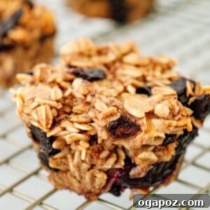 Banana Oatmeal Muffins