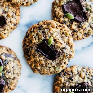 Wholesome Seeded Currant Cookies 6 A close-up of a stack of healthy-ish seed and currant cookies with visible chocolate and seeds.