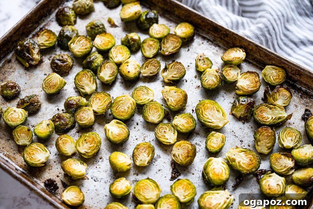 Balsamic Glazed Brussels Sprouts 6 Perfectly roasted Brussels sprouts, golden and slightly charred, resting on a baking sheet after being removed from the oven.